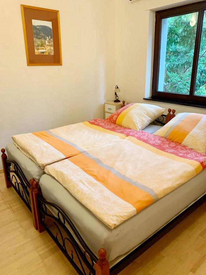 Kuckucksnest Apartment Билефелд Екстериор снимка